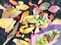 Succulent Leaf Cuttings Pack – 300+ Mixed Unrooted Leaves, Offsets, Rosettes & Florettes for Propagation