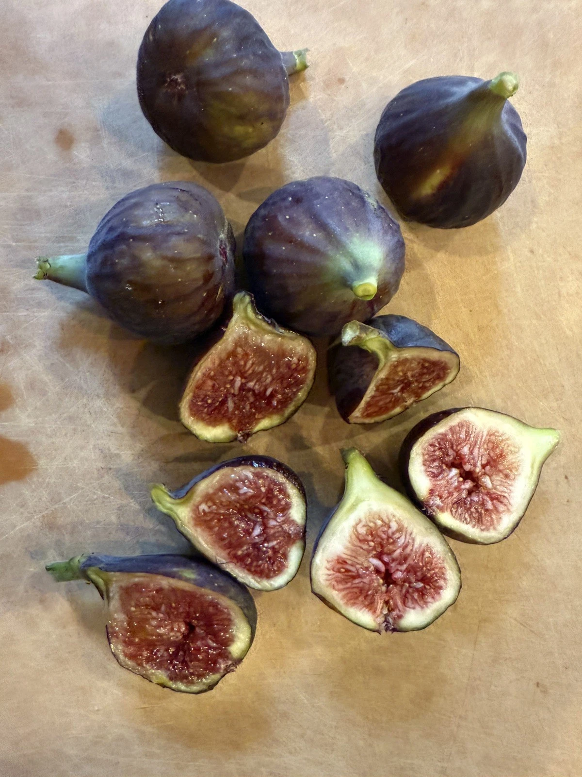 Chicago Hardy Fig Cuttings – Ficus carica ‘Chicago Hardy’ Unrooted Propagation Cuttings for Grafting & Rooting