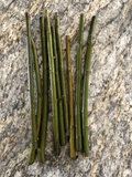Austree Hybrid Willow Cuttings - 60 Live Salix Hybrid Tree Cuttings for Planting