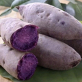 Purple Sweet Potato Slips – 10 Unrooted Vine Cuttings for Planting, Ipomoea batatas, Khoai Lang Tím