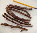 Texas Everbearing Fig Cuttings - 3 Fresh 6–8" Stems for Rooting | Hardy Ficus carica for Zones 6–11