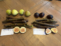 Fig Tree Cuttings - 3 LSU Purple & 3 Alma Ficus Carica Cuttings for Planting