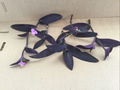 Purple Jade Succulent Cuttings – 6 Live Crassula ovata Propagation Plants with Purple Tones – Easy-Grow Indoor or Garden Starter