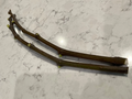 Strawberry Verte Fig Cuttings – 2 Unrooted Ficus carica ‘Strawberry Verte’ 12-Inch Fruit Tree Propagation