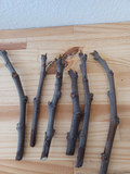 Dwarf Black Mission Fig Cuttings – 6 Live Propagation Cuttings for Container Gardening, Edible Garden, Ficus carica