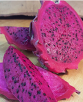 Dragon Fruit Cuttings – Live Unrooted Pitaya Cactus Propagation Material – Selenicereus