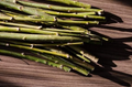 Willow Tree Cuttings – 20 Unrooted Globe & Corkscrew Salix matsudana Varieties for Fast Growing Shade and Ornamental Landscaping