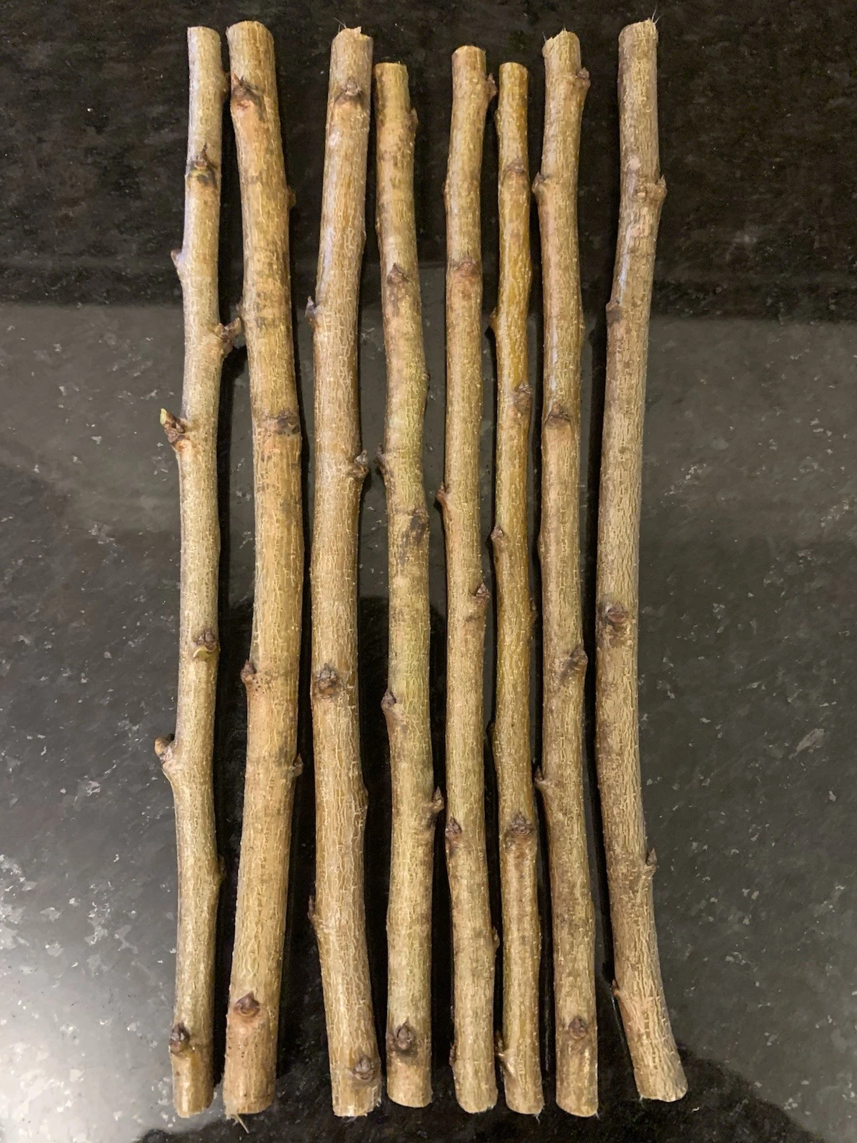 Methley Plum Scions, Unrooted Prunus salicina Grafting Cuttings, Fruit Tree Propagation