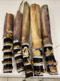 Unrooted Soft Chew Black Sugarcane Cuttings for Propagation Saccharum officinarum Tropical Grass