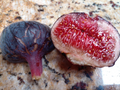 Cherry Cordial Fig Tree Cuttings - Unrooted Fig Cuttings for Propagation Set of 2