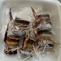 Dark Purple Sugarcane Rooted Cuttings Set of 5 | Saccharum officinarum Live Plant for Home Garden