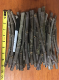 Negronne Fig Tree Cuttings – 3 Unrooted Ficus Carica ‘Negronne’ Fruit Tree Propagation Cuttings