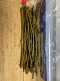 Olive Tree Cuttings – Fresh Unrooted Olea Europaea for Propagation