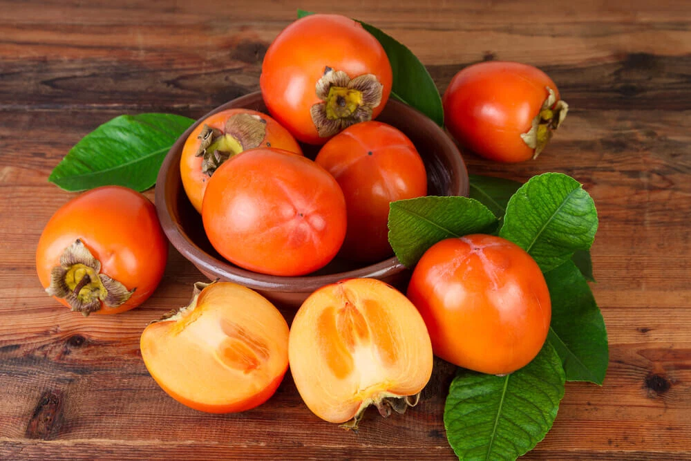 Kaki Persimmon Cuttings for Grafting, Diospyros Kaki Tomel, Unrooted Fruit Tree Propagation, 5 Pieces