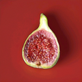 Strawberry Verte Fig Cutting Live 6-8 Inch Unrooted for Rooting or Grafting