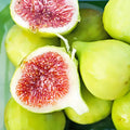 Verte Fig Tree Cuttings (Unrooted) – Ficus carica Green Fig Scion Wood for Rooting & Grafting